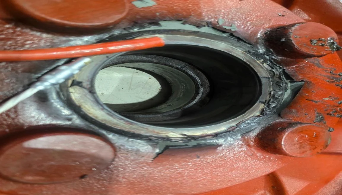 WEG motor bearing assembly